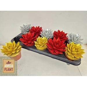 ECHEV PAINTED GOSIRE P10.5