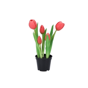 Silk Tulip In Pot 5x Fuchsia 26cm Nm