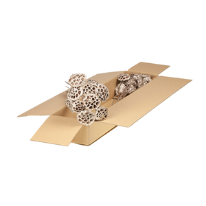 Lotus O/s Sb Warm Gold