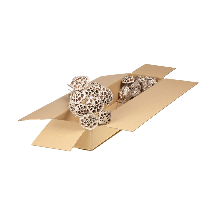 <h4>Lotus O/s Sb Warm Gold</h4>