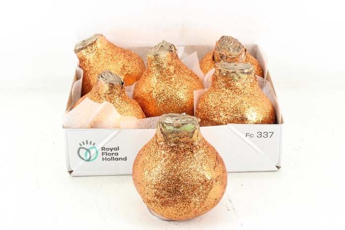 <h4>arr4 Amaryllis CM - Wax glitter koper</h4>