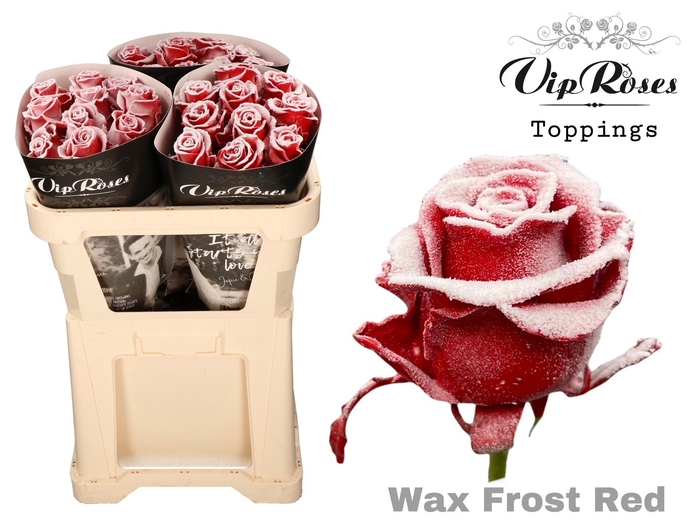 <h4>R GR WAX FROST RED x30 998</h4>