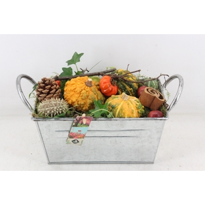 arr4 Sierfruit JS - Zink rechthoek XL