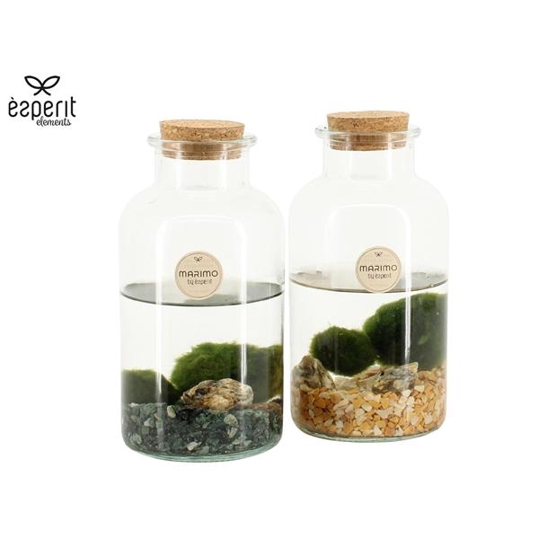 <h4>Arrangementen water plants</h4>