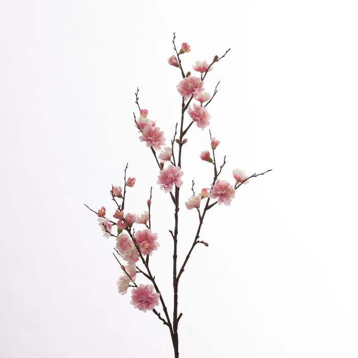 <h4>Af Prunus L86cm Cream/pink</h4>