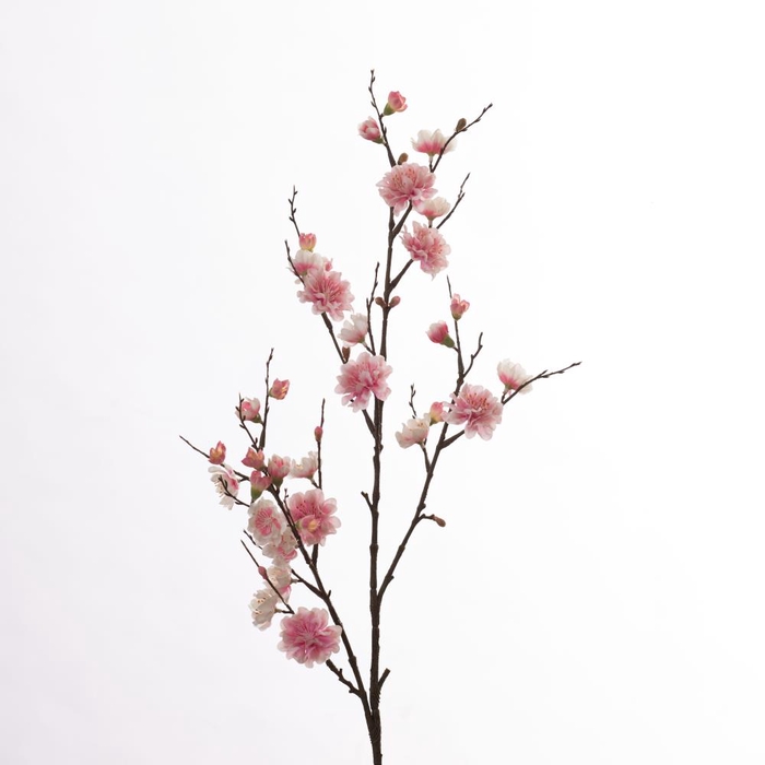 AF Prunus L86cm Cream/Pink