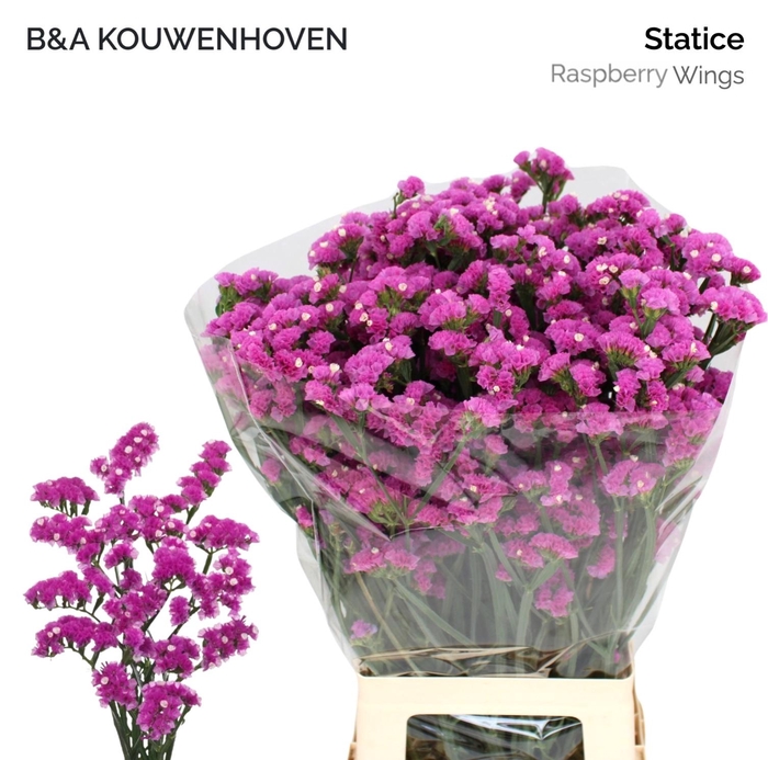 <h4>LIM S RASPB WINGS</h4>