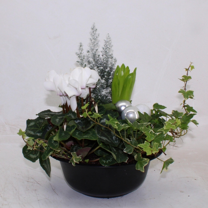 <h4>Collectie "X-mas time" Arrangement in zinken schaal Romance</h4>