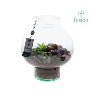 Green Bottle Laura Medium met arrangement