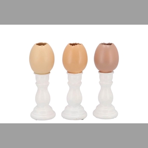 Easter Egg Trophy Natural Brown Mix Vase Ass 6x6x16cm Nm