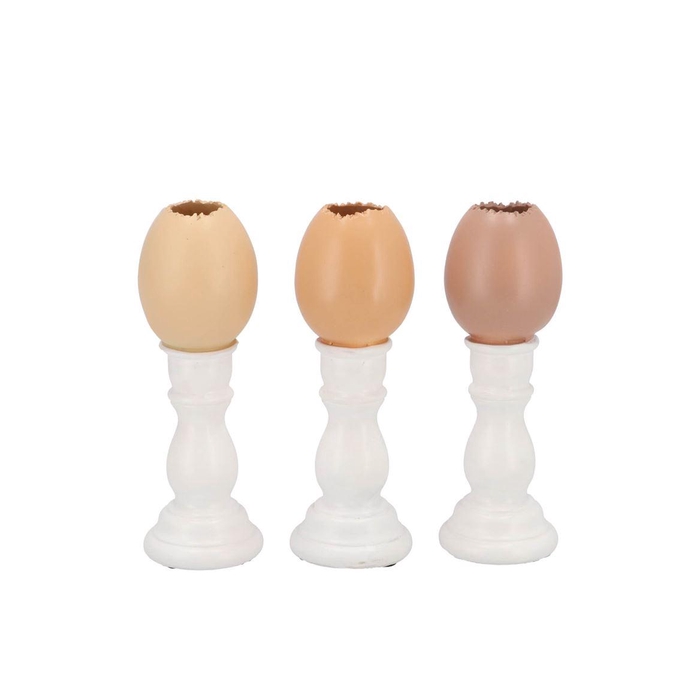 <h4>Easter Egg Trophy Natural Brown Mix Vase Ass 6x6x16cm Nm</h4>
