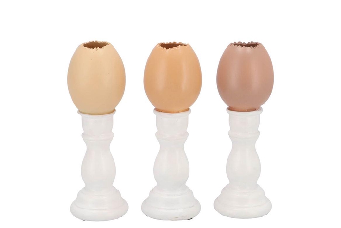 <h4>Easter Egg Trophy Natural Brown Mix Vase Ass 6x6x16cm Nm</h4>