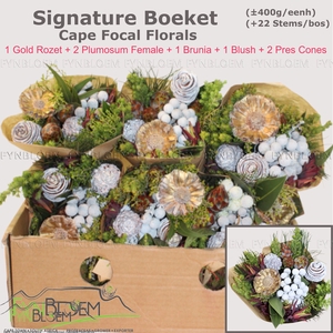 KAAPS GROE GEM IN BS