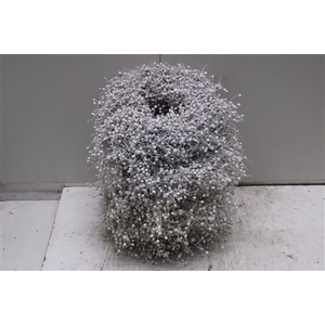 Krans Vlas Frosted 30 Cm