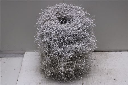 <h4>Krans Vlas Frosted 30 Cm</h4>