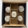 Pres Puste Bloemen X5 Display Doos