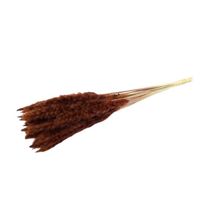 <h4>Bunch Fluffy Pampas Sleeved 70g L70</h4>