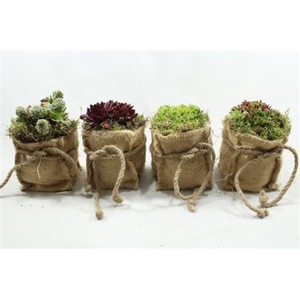 SE111 MIDDEL JUTE ZAK SEMP