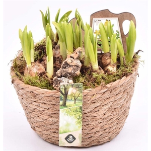 Touwmand naturel 18cm