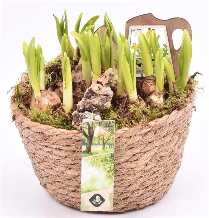 <h4>Touwmand naturel 18cm</h4>