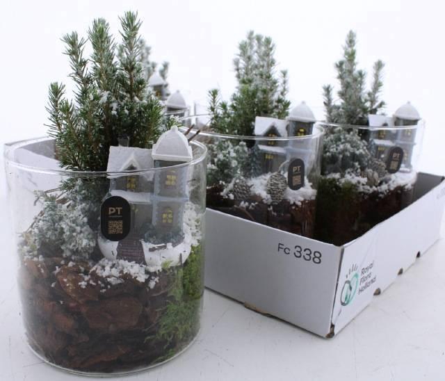 <h4>Arr Kamerpl</h4>