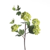 AF Viburnum Snowb x4 L75cm Gr