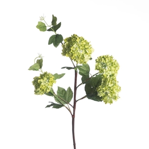 AF Viburnum Snowb x4 L84cm Gr