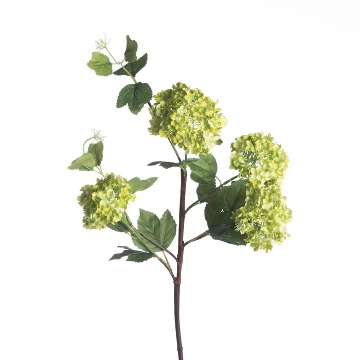 <h4>AF Viburnum Snowb x4 L84cm Gr</h4>