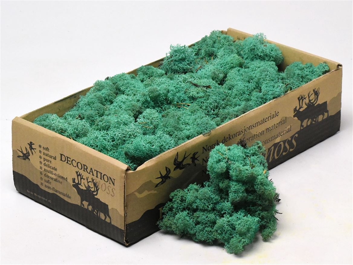 <h4>Mos Rendier Pacific Green Gepr 500gr</h4>