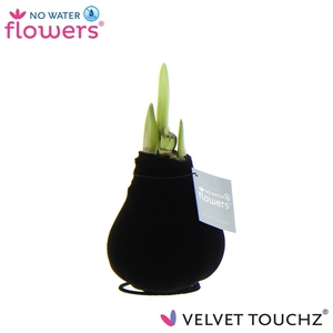 No Water Flowers Velvet Touchz® Black