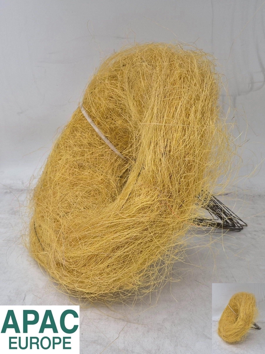 <h4>BOEKETHOUDER H%</h4>