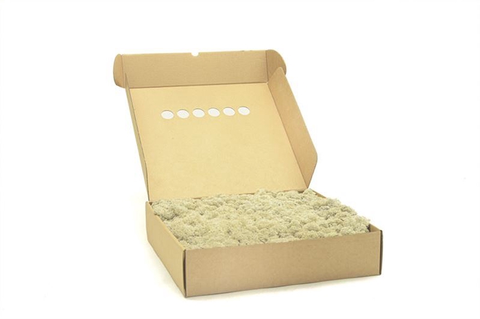 Ijslandmos (reindeer) Cream