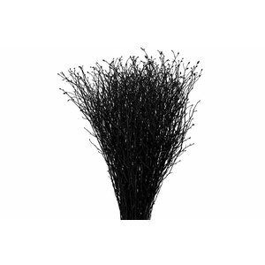 Berk 70cm Gl Zwart Pbs