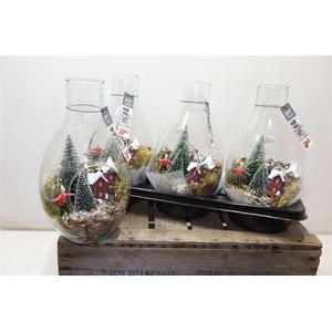 arr8 Kerstcreatie In Glazen Venster Vaas