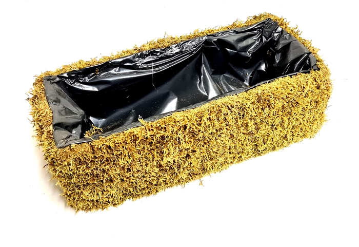 Planter Flat Moss Rectangular L35 cm B15cm