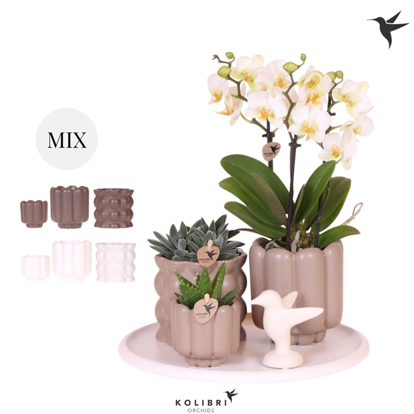 <h4>Kolibri Gift Set Slow Living</h4>