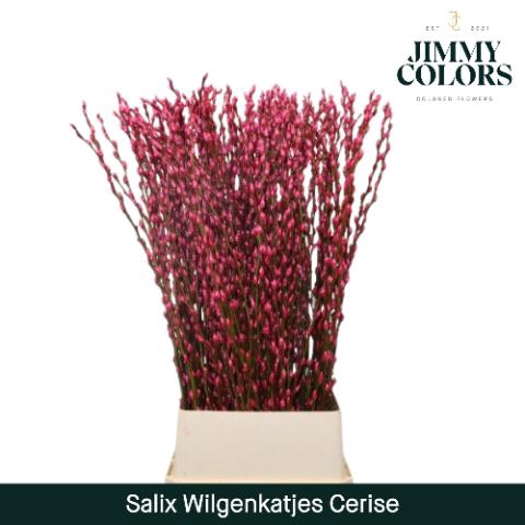 <h4>Salix Katjes L120 Cerise</h4>