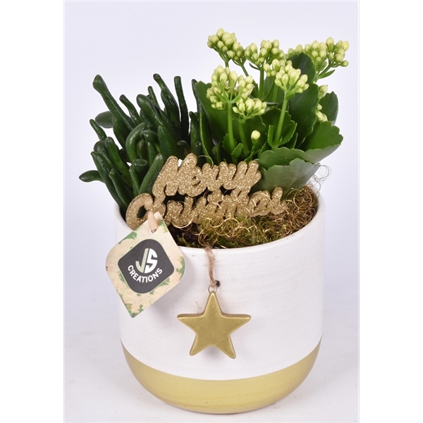 <h4>Keramiek met goud ster 13cm</h4>