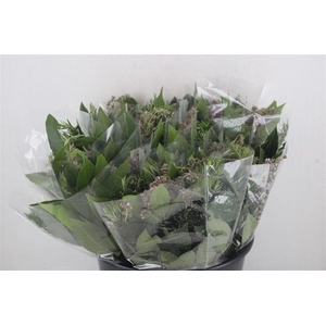 Boeket Aroma Mix P/b