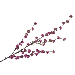 Silk Berry Callicarpa Purple 130cm Nm
