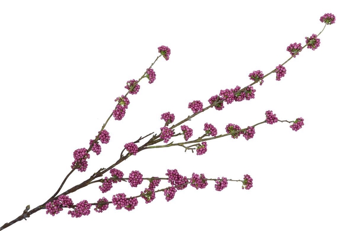 <h4>Silk Berry Callicarpa Purple 130cm Nm</h4>