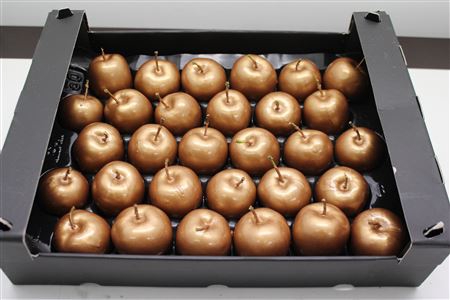 <h4>Waxappel Koper</h4>