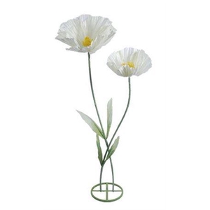 Stem Poppy Flower Double L50w50h160