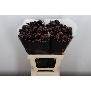 R Tr Wx Flaming Black Xl