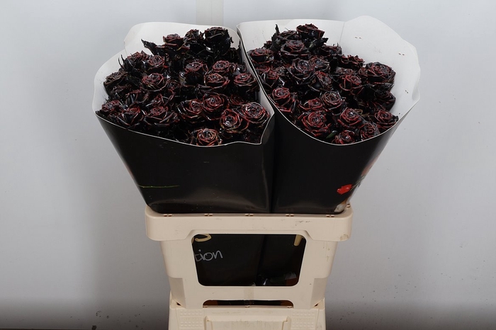 <h4>R Tr Wx Flaming Black Xl</h4>