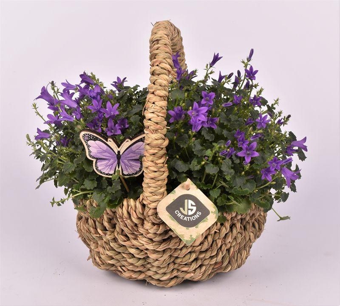 <h4>Hengselmand ovaal 20x15cm</h4>