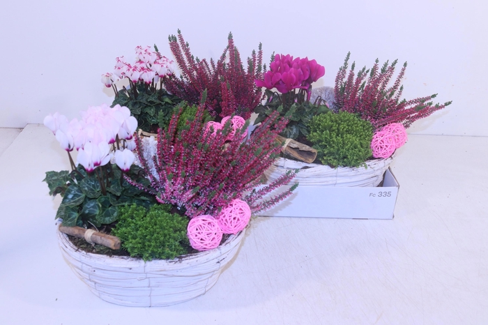 <h4>ARR TUINPLANTEN</h4>