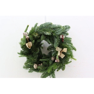 Wr Nobilis Christmas Breeze 30cm