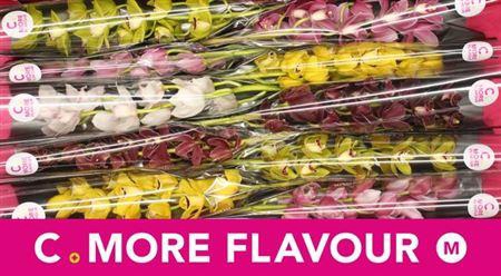 <h4>Cymb Mi Gemengd</h4>