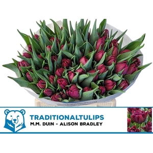 TU DU ALISON BRADLEY